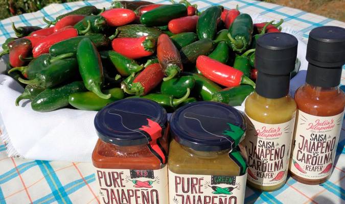 Utrera introduce con éxito el cultivo del Pimiento Jalapeño como base para la elaboración de salsas