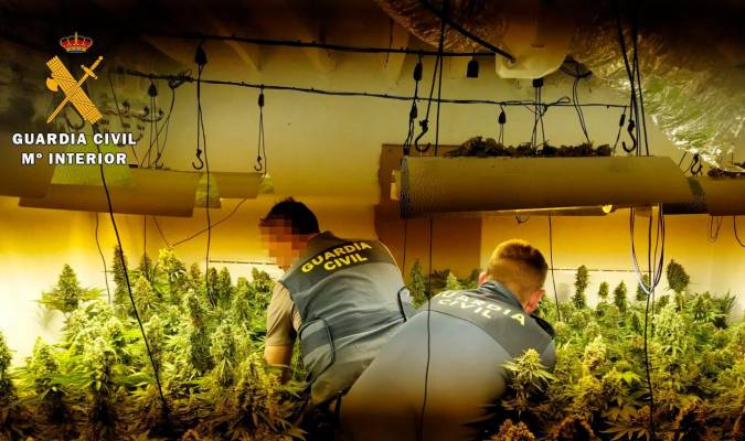 Cuarenta detenidos e intervenida una tonelada de marihuana envasada