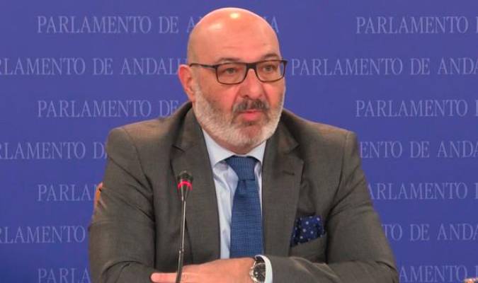El portavoz parlamentario de Vox en Andalucía, Alejandro Hernández. / EFE