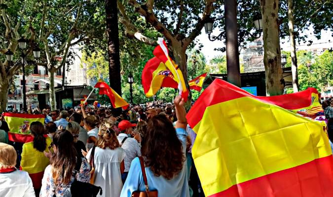 Sevilla se manifiesta en desacuerdo con la amnistía y el Gobierno de Pedro Sánchez / Foto Pilar Will / El Correo de Andalucía