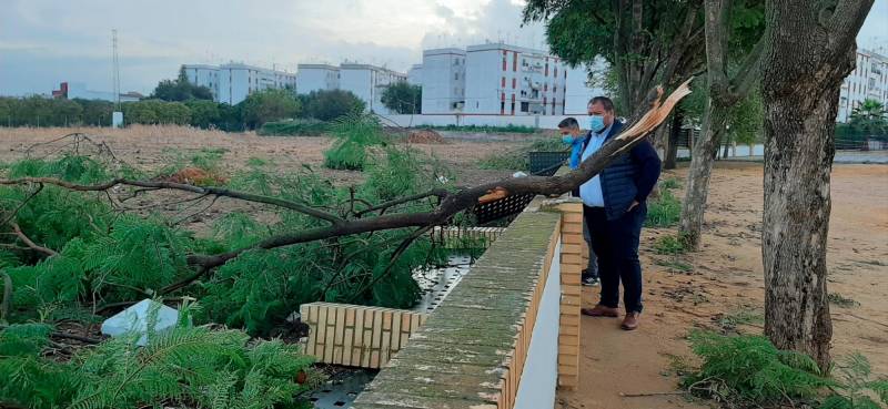 El Ayuntamiento de Brenes reconstruye el muro del CEIP Miguel Hernández, caído desde octubre