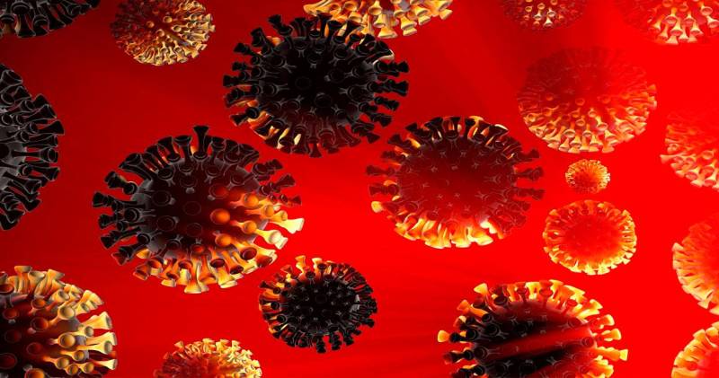 Desvelando los secretos del coronavirus