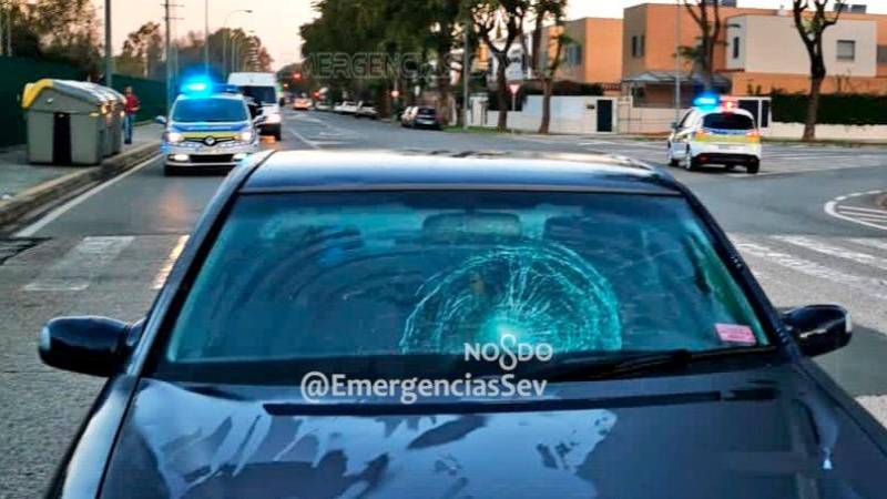 Herido grave un joven tras ser atropellado en un paso de cebra en Sevilla Este