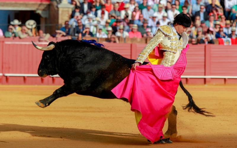 El torero peruano Roca Rey en la Real Maestranza de Sevilla / EFE - Julio Muñoz