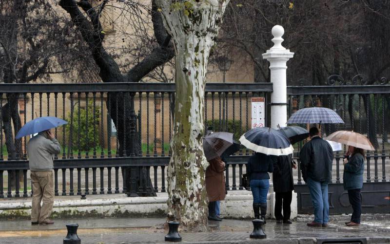 Cierran los parques de Sevilla hasta el sábado por la lluvia y el viento
