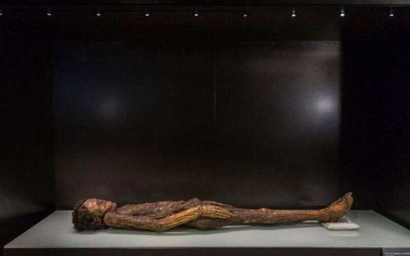Hallan el primer caso de una momia egipcia embarazada