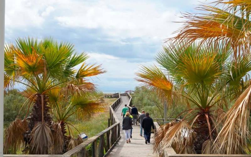 Playas seguras en Andalucía con la contratación de 3.000 desempleados