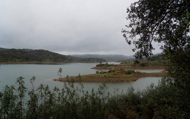 Los embalses de Andalucía vuelven a perder agua