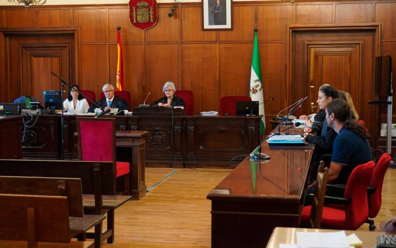 Condenado a 18 años de cárcel por asesinar a su tía con discapacidad en Sevilla