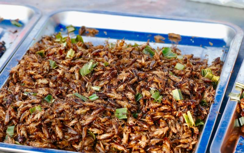¿Es seguro consumir insectos?