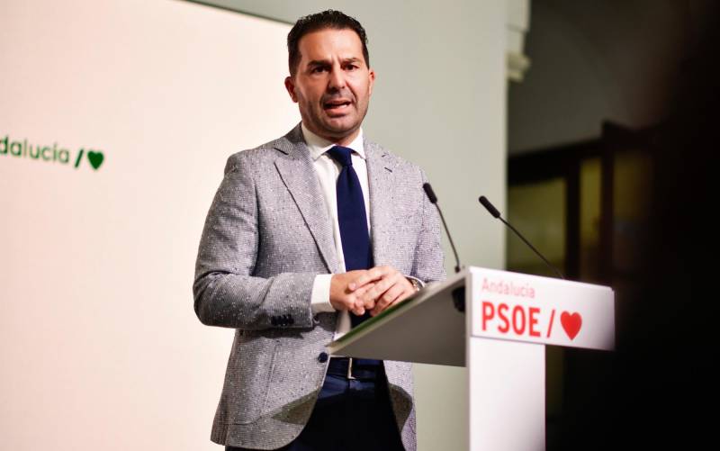 El secretario de Organización del PSOE-A, Noel López.