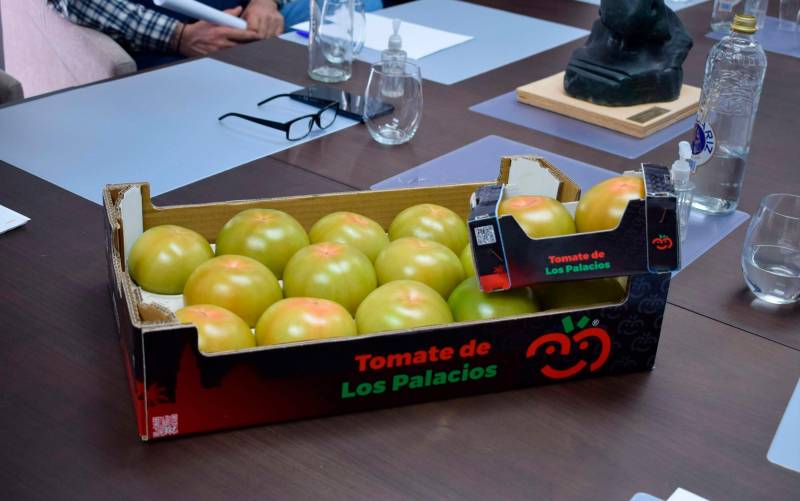 Los Palacios produce ya un millón de kilos menos de tomate por la sequía
