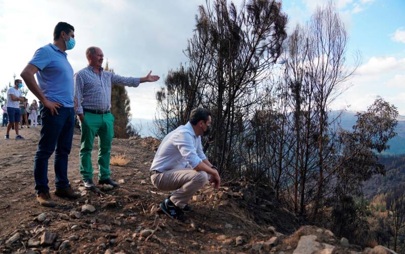 Moreno pedirá al Gobierno la declaración de zona catastrófica para Sierra Bermeja