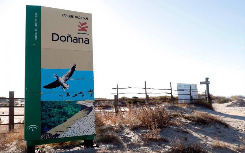 Expertos abogan por dotar de personalidad jurídica a los humedales de Doñana y Daimiel