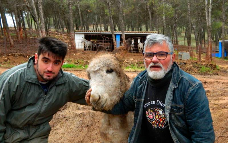 «Los burros pueden desaparecer como especie en Andalucía por culpa de los tratantes»