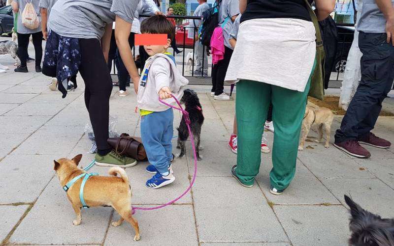 Campaña en Sanlúcar la Mayor para la tenencia responsable de mascotas 