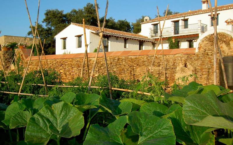 En la finca Algaba de Ronda se puede pernoctar en casas concebidas como ejemplo de arquitectura rural, y todo lo que se come procede de la agricultura ecológica que allí se cultiva.
