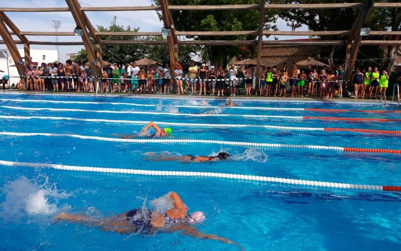 Osuna acoge a más de 500 nadadores y nadadoras en una de las pruebas del Circuito Provincial de Natación