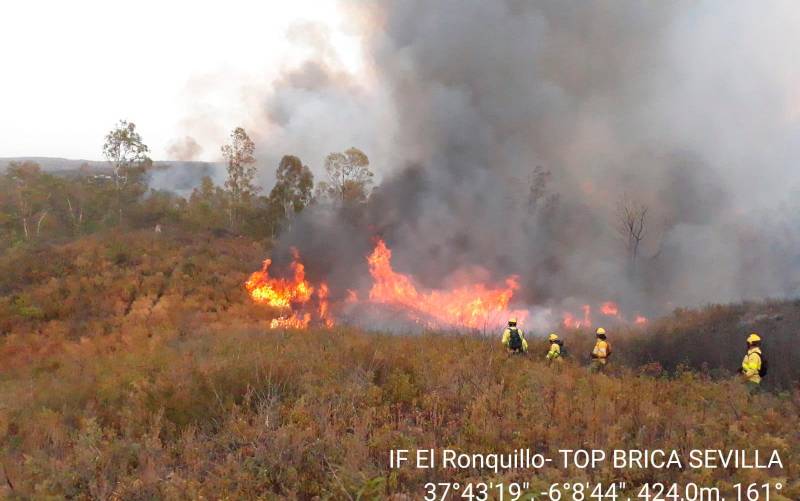 Un incendio de nivel 1 afecta un paraje de El Ronquillo