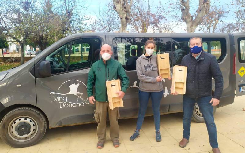 Operarios encargados de la instalación de cajas-refugio para murciélagos en Coria del Río