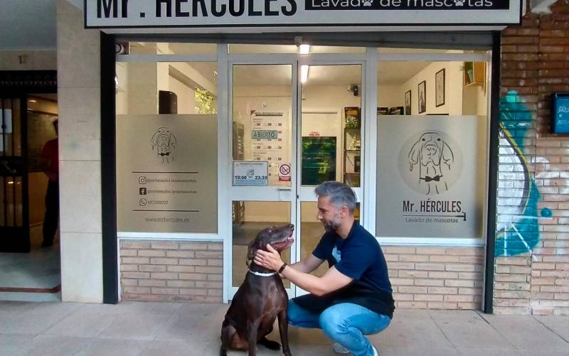 Una peluquería canina sevillana se ofrece a lavar gratis a los perros guía