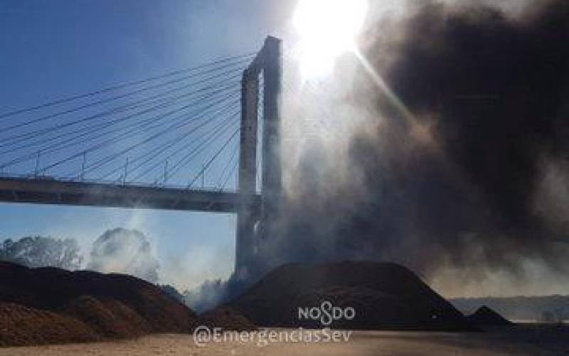Un incendio bajo el puente del Centenario causa una gran columna de humo y afecciones al tráfico