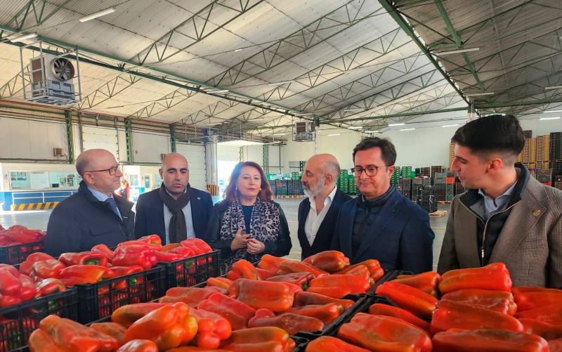 La consejera de Agricultura de la Junta de Andalucía, Carmen Crespo, visita las instalaciones de Agroponiente en El Ejido (Almería). / Junta de Andalucía