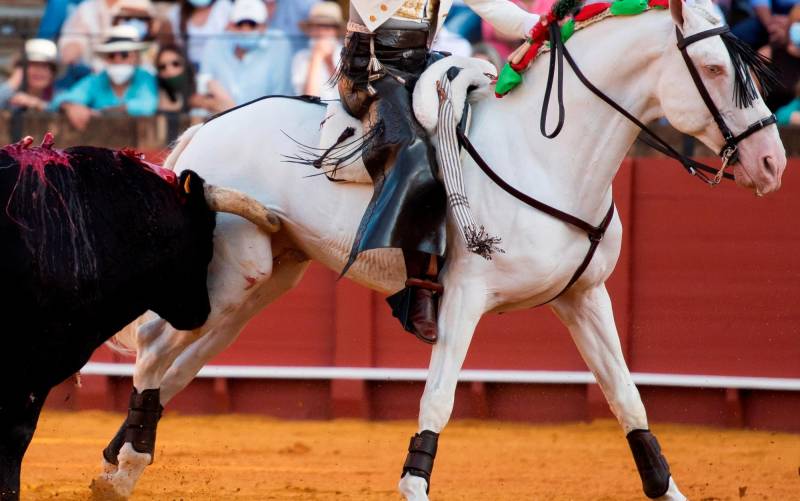 Muere el caballo ‘Máximo’, de Andrés Romero, tras ser corneado en Sevilla