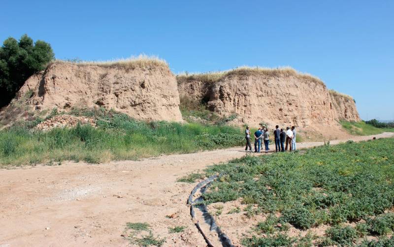 Vista del Cerro Macareno, el yacimiento arqueológico de La Rinconada que será declarado BIC (Foto: Ayuntamiento de La Rinconada).