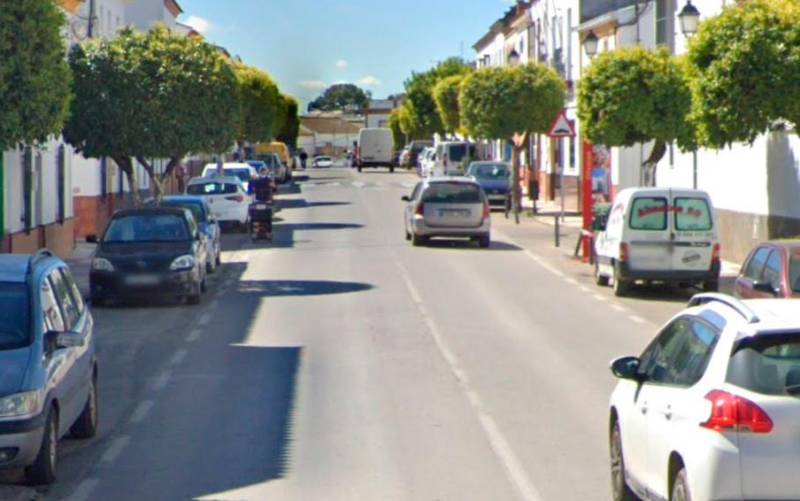 Una avenida de Olivares.
