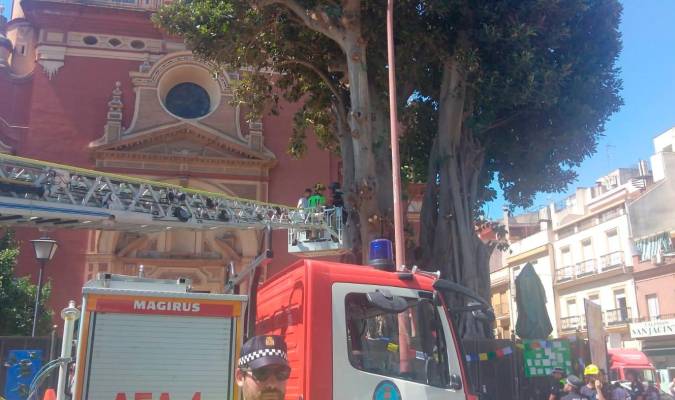 Momento en el que los bomberos bajan a uno de los jóvenes que ha protestado por la tala del ficus de San Jacinto en Sevilla.