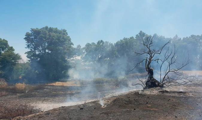 Estado de la zona arrasada por las llamas, en el paraje natural del arroyo Herreros en Alcalá del Río (Fotos: Ayuntamiento de Alcalá del Río)