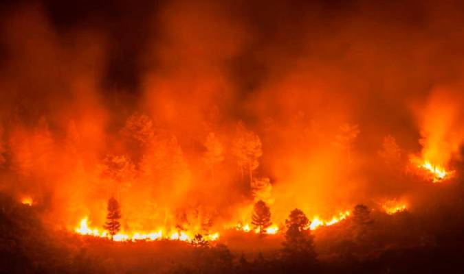 Uno de los incendios que están arrasando la Amazonia. / Europa Press