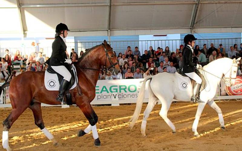 La feria del caballo de Fuentes de Andalucía ya es la segunda mayor de la comunidad autónoma