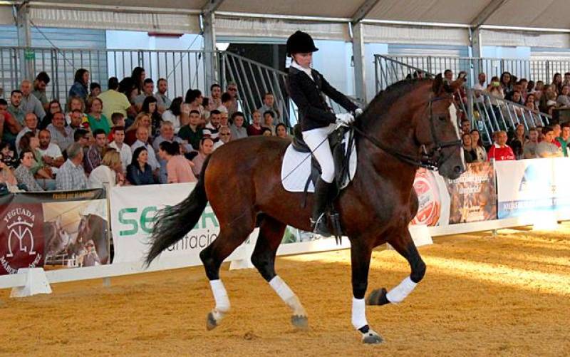La feria del caballo de Fuentes de Andalucía ya es la segunda mayor de la comunidad autónoma