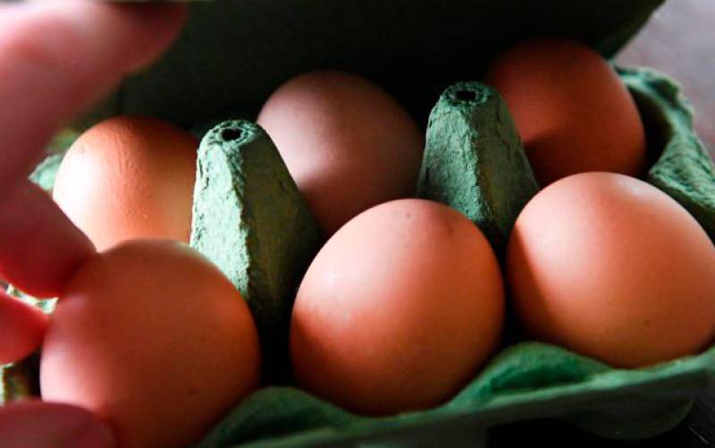Los expertos desvelan cuántos huevos hay que comer a la semana