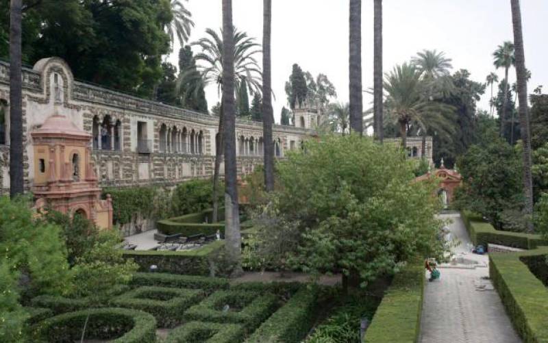 Familiares del fallecido por una rama en el Alcázar reclaman unos 55.000 euros al Ayuntamiento