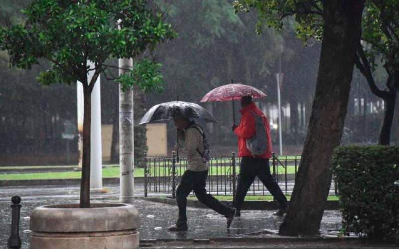 Las lluvias harán acto de presencia en Sevilla este fin de semana.