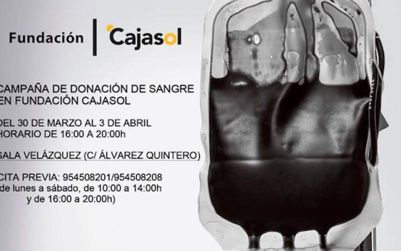 Los datos de la campaña de donación de sangre de la Fundación Cajasol. / El Correo