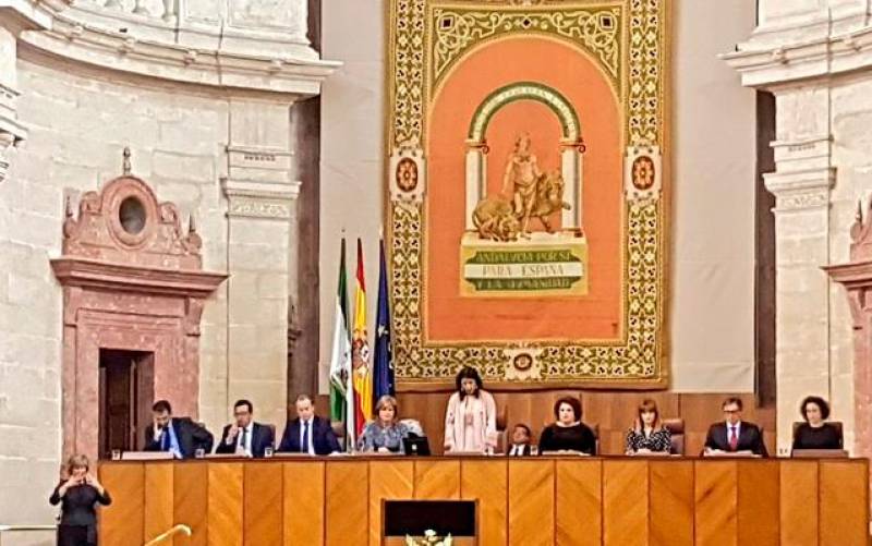  Marta Bosquet en su discurso ante el tradicional Pleno institucional celebrado en el Parlamento con motivo del 28F. / El Correo