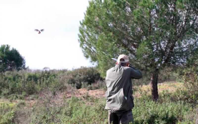 Un cazador apunta con su arma para matar un ave durante una cacería. Foto: El Correo