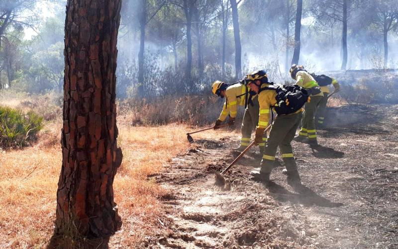 Bomberos del Plan Infoca actuando en la zona en el incendio de Almonte. / Plan Infoca