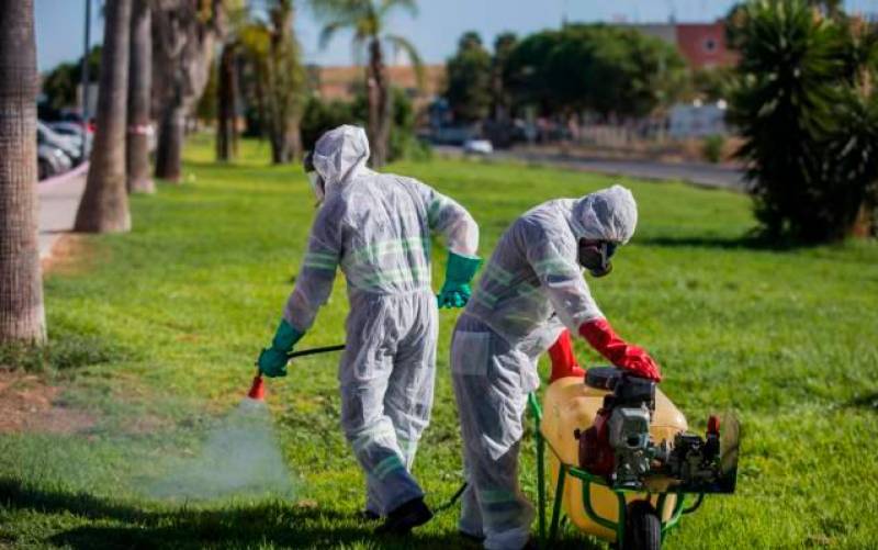 Detectan mosquitos positivos en virus del Nilo en La Puebla del Río