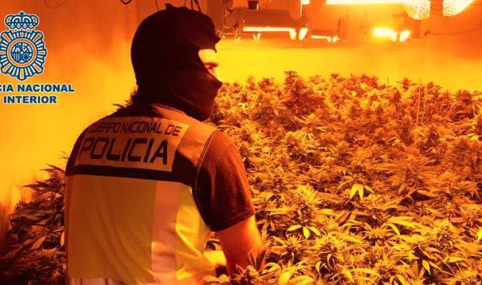 Marihuana intervenida en un cortijo ubicado en el paraje La Juaida de Almería.