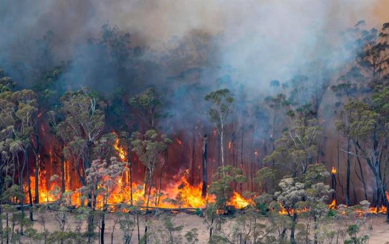 Los voraces incendios acorralan a miles de personas en playas de Australia