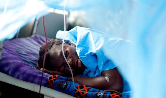 La OMS teme decenas de miles de muertes adicionales por malaria en la pandemia