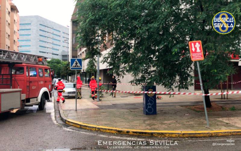 Bomberos intervienen en Ramón Carande ante el riesgo de caída de un árbol por fuertes vientos