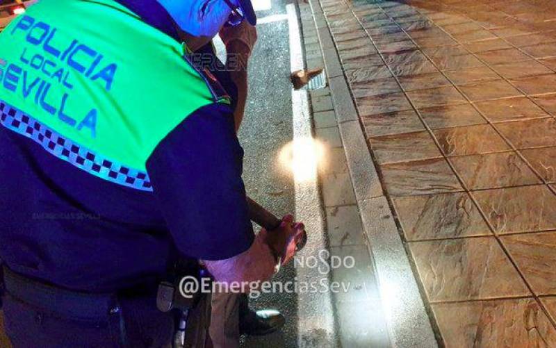 La Policía Local de Sevilla hace las pericias en el lugar del accidente / Emergencias Sevilla