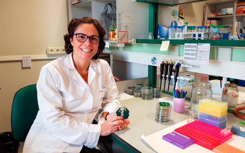 Rocío López Igual, en el Instituto de Bioquímica Vegetal y Fotosíntesis, dentro del Cic Cartuja, donde realiza sus investigaciones sobre cianobacterias. / EL CORREO