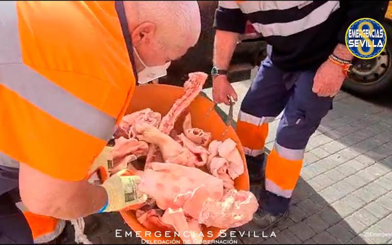 Intervienen 450 kilos de carne en mal estado en un supermercado de Sevilla